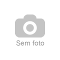 Leandro Vinicius